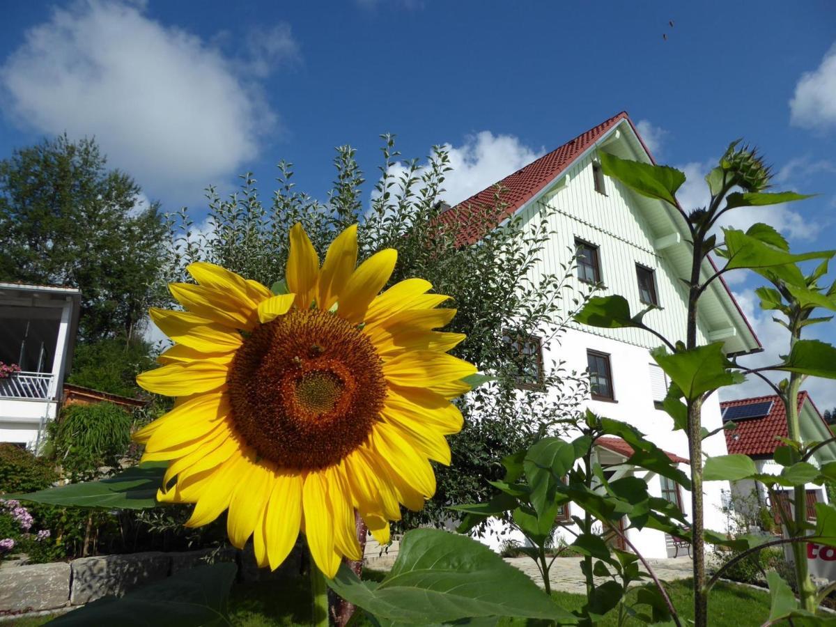 Erholungsraum Karsee - Ferienwohnung Wangen im Allgäu Екстериор снимка