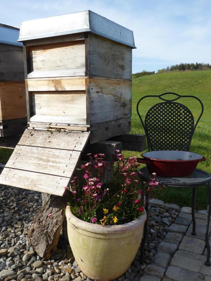 Erholungsraum Karsee - Ferienwohnung Wangen im Allgäu Екстериор снимка